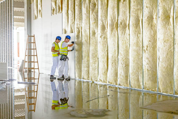 Best Commercial Insulation in Middletown, CA